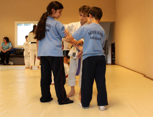 Aikido Kodomo – 23