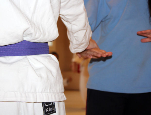 Aikido Kodomo – 24