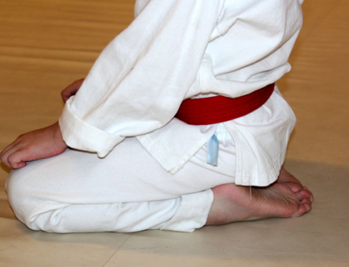 Aikido Kodomo – 25