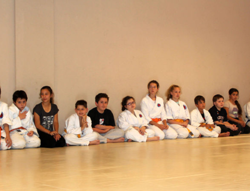 Aikido Kodomo – 27