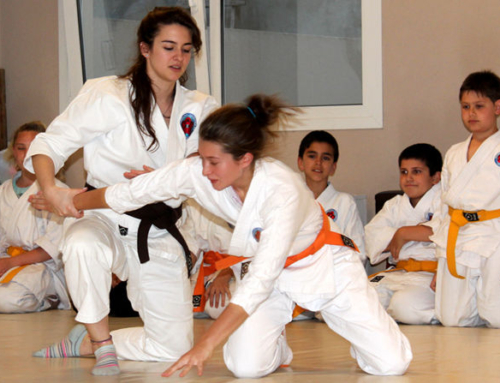 Aikido Kodomo – 29