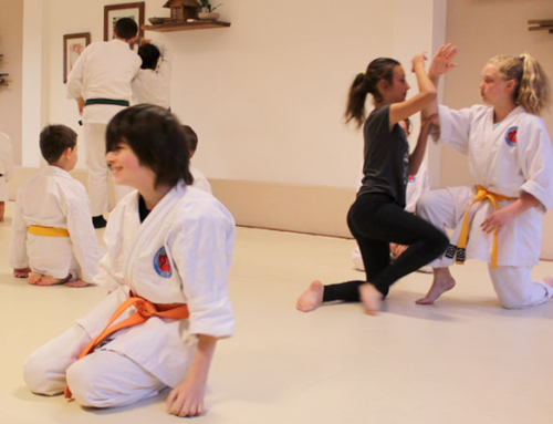 Aikido Kodomo – 30