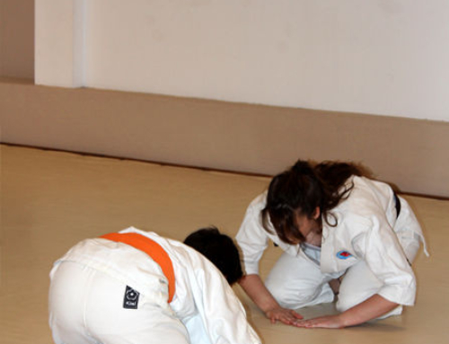 Aikido Kodomo – 22