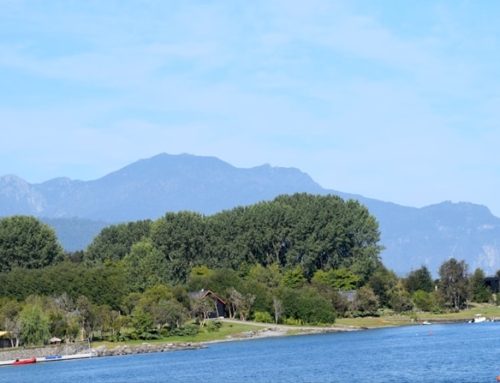 2017-02-Fultrono | Chile – 11