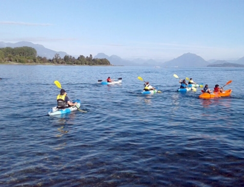 2017-02-Fultrono | Chile – 12