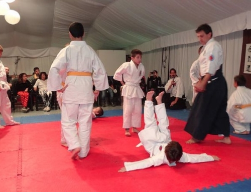 2017-05 | Jardín Japonés | Seminario Kodomos – 04