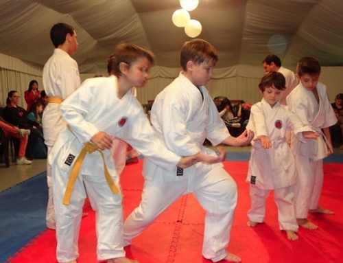 2017-05 | Jardín Japonés | Seminario Kodomos – 06