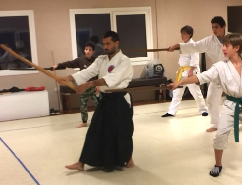 2018-04-Kodomos-Armas-10