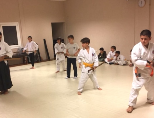 2018-04-Kodomos-Armas-11