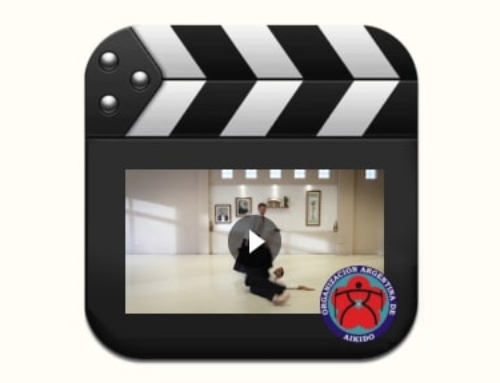 Video Técnico – Ki no Nagare G H Katate Dori