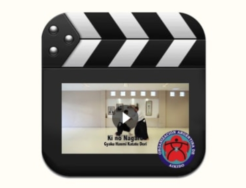 Video Técnico – Ki no Nagare G H Katate Dori 2