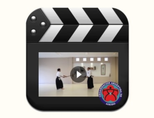 Video Técnico – Kumidachi